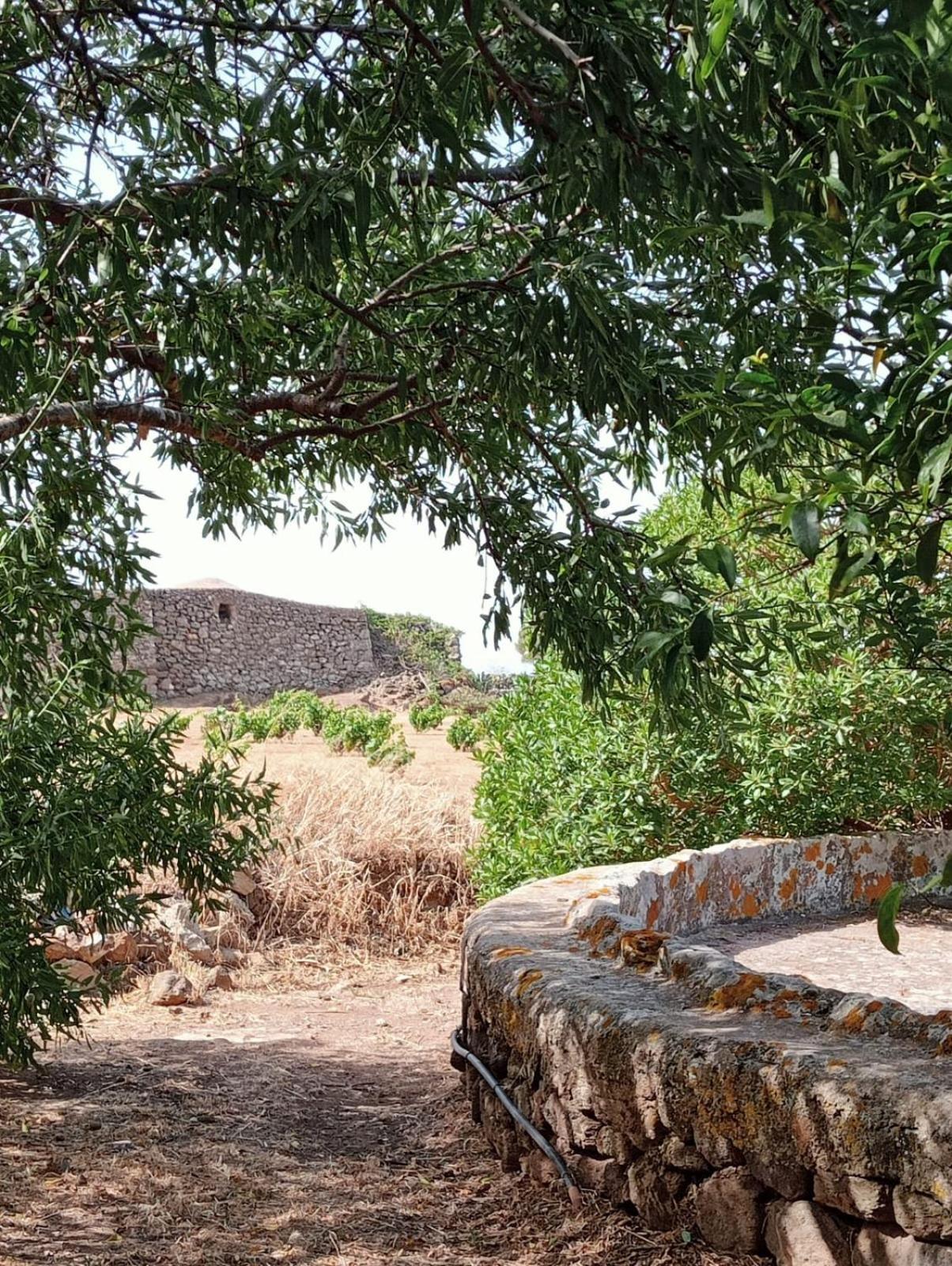 Dammuso Le Vigne